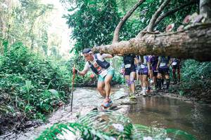 BIB: 
                            <button type="button" onclick="openModal(25466849)" class="btn btn-primary btn-sm float-right btn-popup" data-toggle="modal" data-target=".modal-high-quality">
                        <i class="fas fa-shopping-cart"></i> Add to Cart
                    </button>
                                            <button type="button" onclick="isThisMe(25466849, true)" class="btn btn-success btn-sm float-right btn-popup btn-isme hidden" data-toggle="tooltip" data-placement="bottom" title="นี่คือรูปของคุณใช่ไหม คลิกที่นี่เพื่อเอาเข้าอัลบั้ม">
                        <i class="fas fa-plus"></i> Add to album
                    </button>
                    <button type="button" onclick="isThisMe(25466849, false)" class="btn btn-warning btn-sm float-right btn-popup btn-isnotme hidden">
                        <i class="fas fa-ban"></i> Remove from album
                    </button>